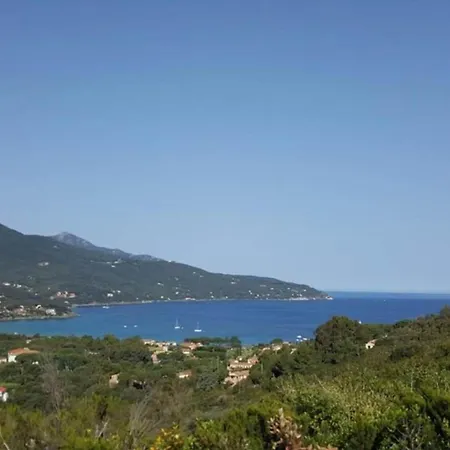 In Near Etruscan Coast * Suvereto