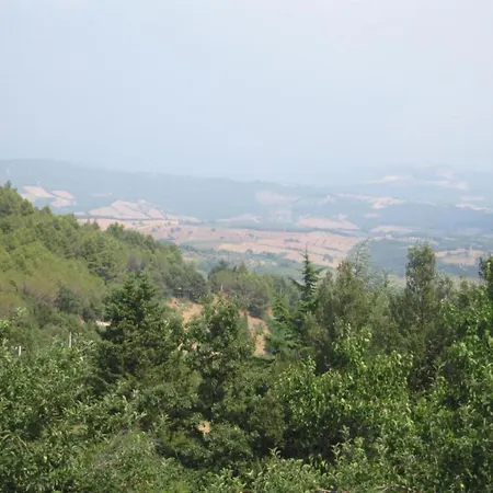 In Near Etruscan Coast