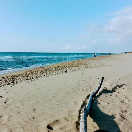 In Near Etruscan Coast * Suvereto